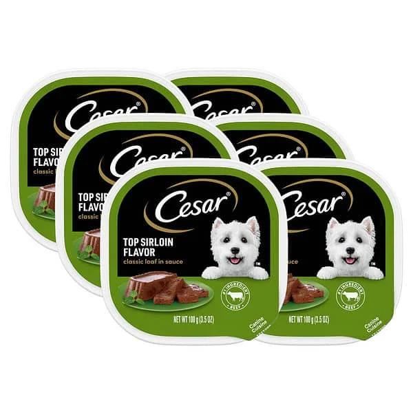 (6 pack) CESAR Classic Loaf in Sauce Top Sirloin Flavor Soft Wet Dog Food for Adult Dog, 3.5 oz. Tray