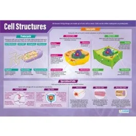 Cell Structures Poster A1 Laminated [3083]