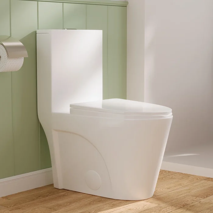 DeerValley DV-1F52102 Ace 1.6 GPF Dual-Flush Toilet Modern Elongated One-Piece Toilet for Floor Mounted Glazed Surface (Seat Included)
