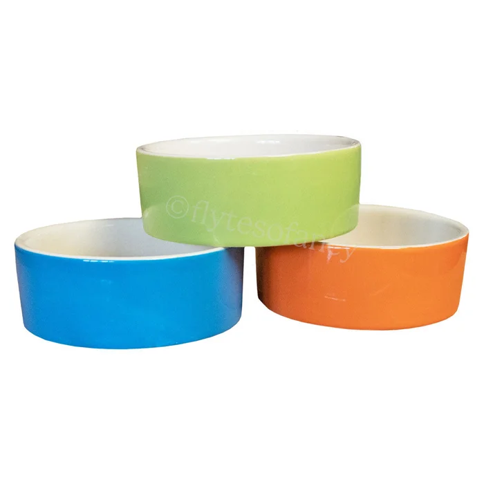 Large 250ml Ceramic Pet Feeding Bowl