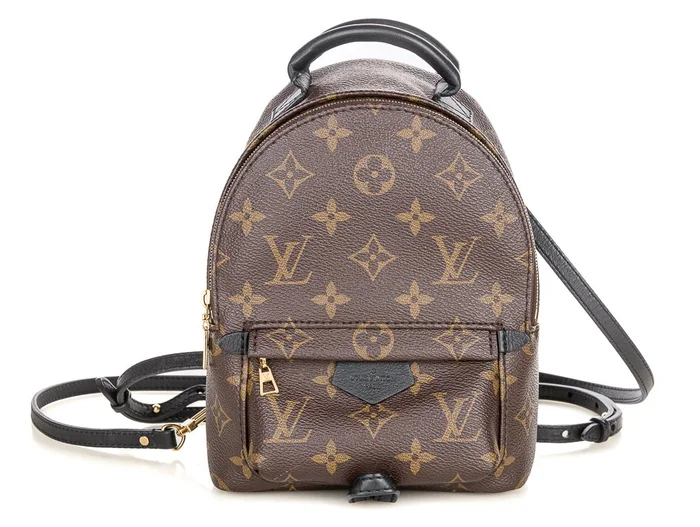 Louis Vuitton Palm Springs Mini Backpack