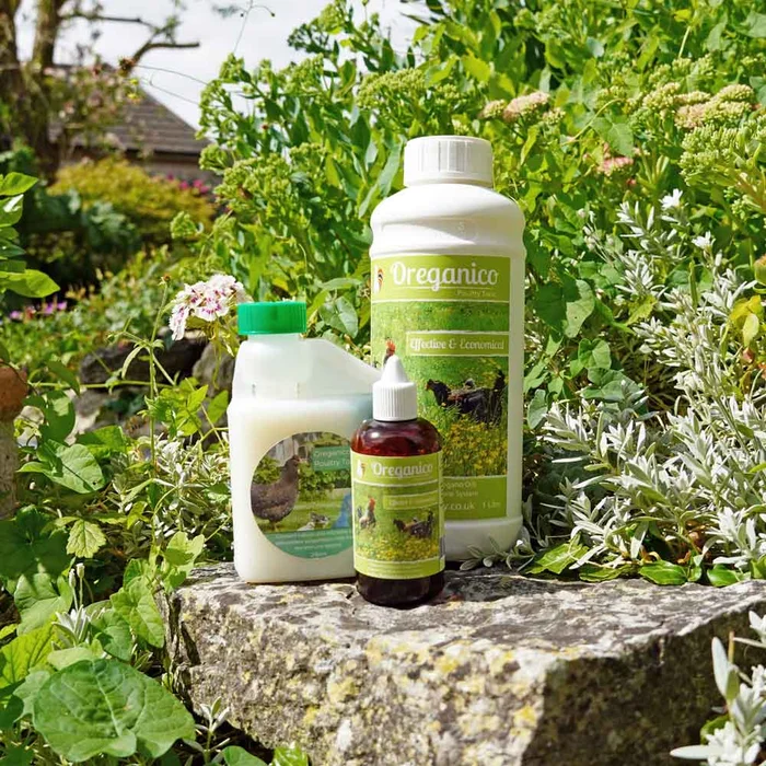 Oreganico Poultry Tonic from Flyte so Fancy