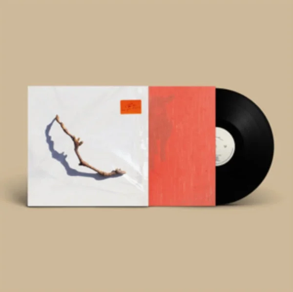 PJ Harvey LP – I Inside The Old Year Dying