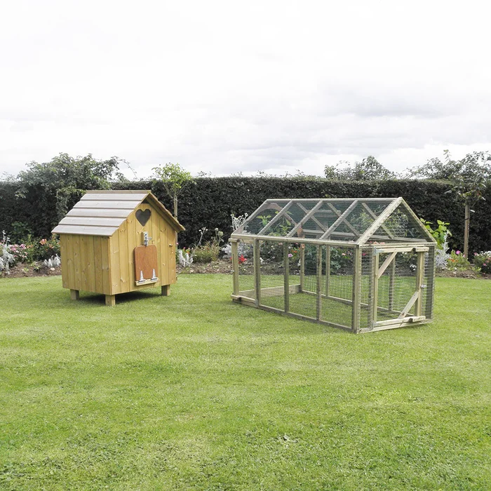 Runs for the Maggie’s Six Hen House