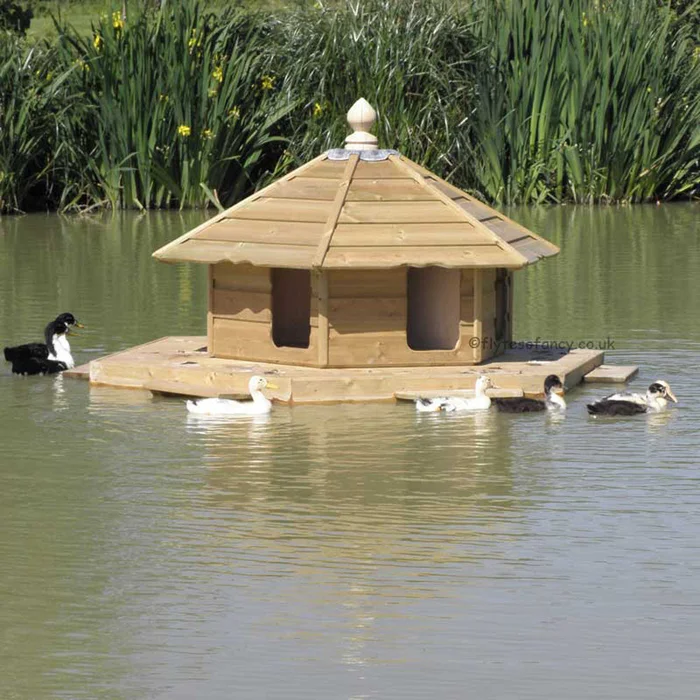 The Floating Duck Lodge